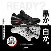 白か黒か