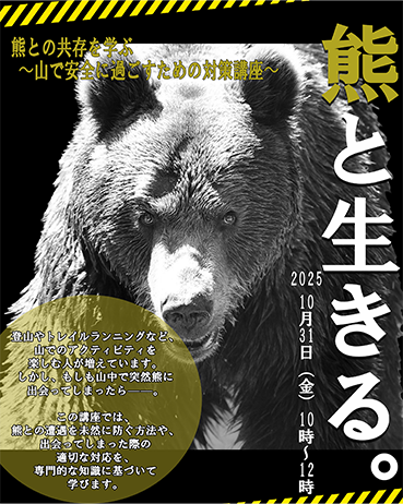 ベアー